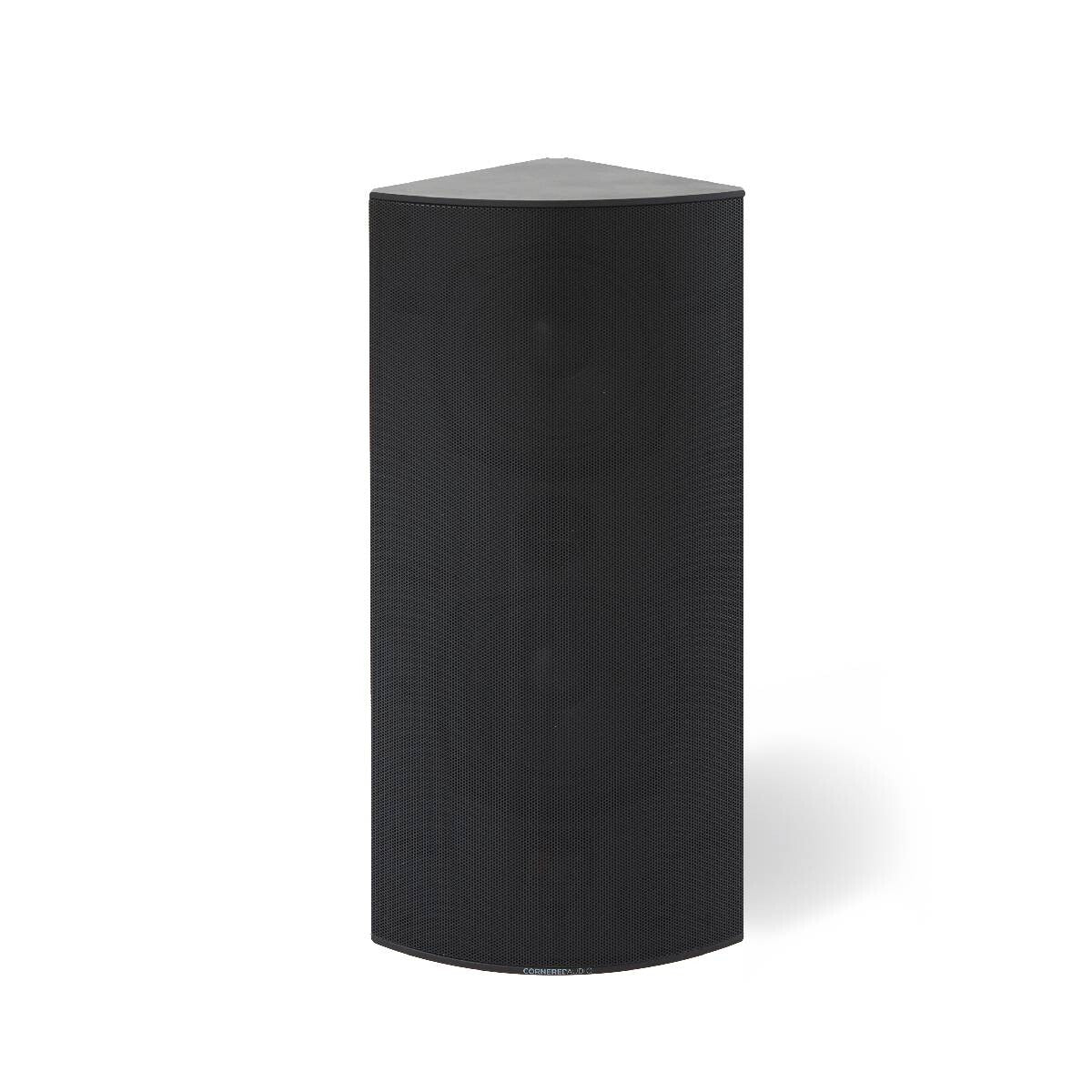 Blaze CI4V - 4”+4"PASSIVE/1”TWEETER-60W 100V sort