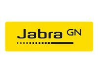 Jabra Evolve3 75 EarCushions 1 Pair Gray