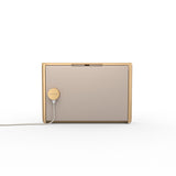 Bang & Olufsen Beosound Level Gold
