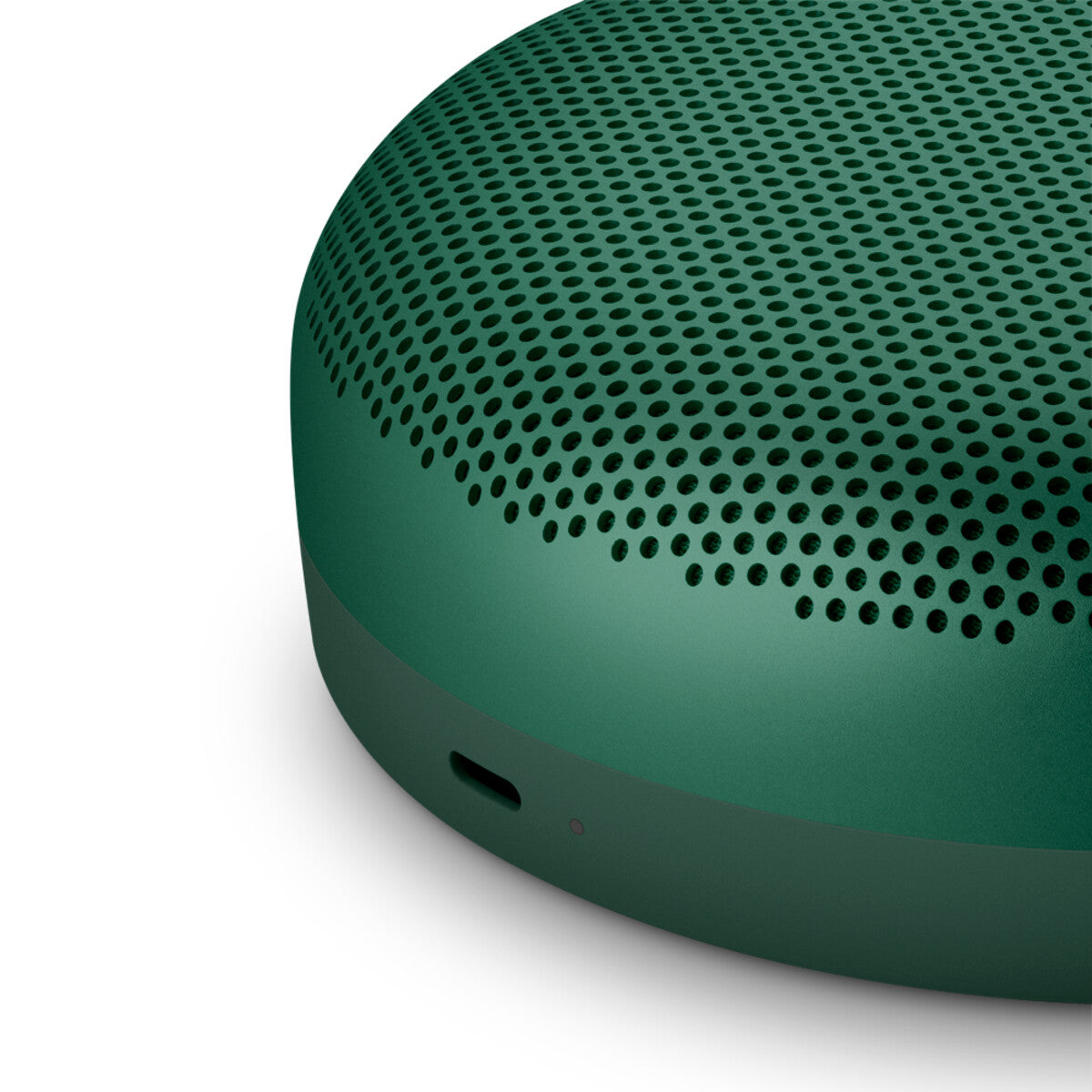 Bang & Olufsen Beosound A1 2nd Gen Green