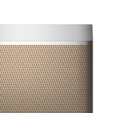 Bang & Olufsen Beolit 20 Stereo portable speaker Grey