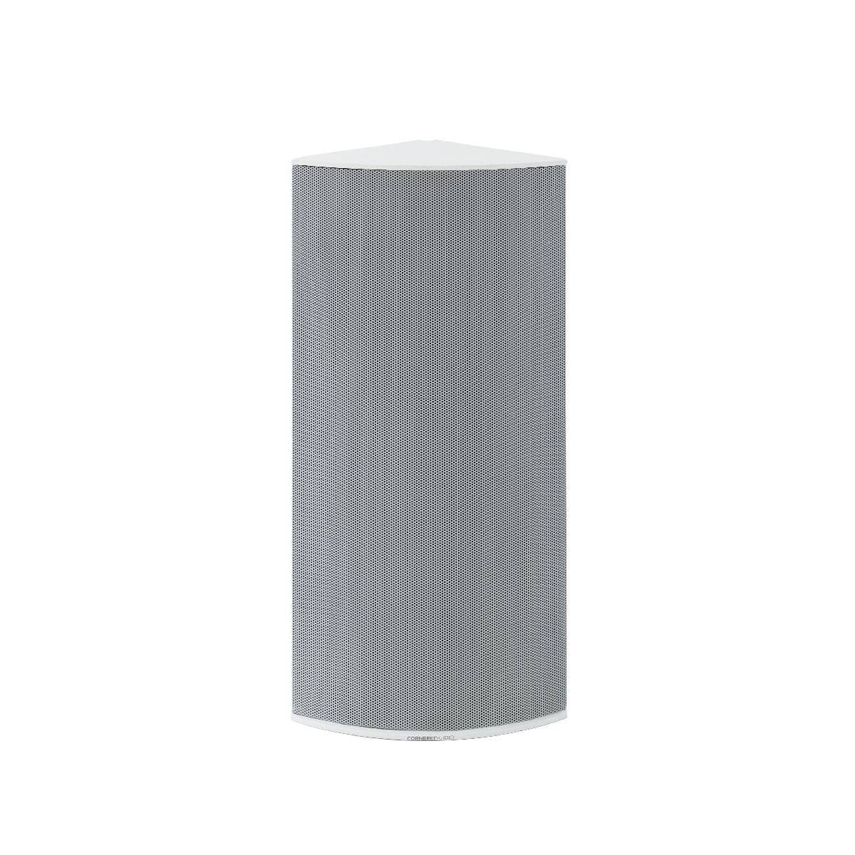 Blaze CI4VW - 4”+4"PASSIVE/1”TWEETER -60W 100V Hvid