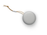 Bang & Olufsen Beosound A1 2nd Gen Grey