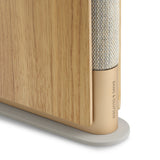 Bang & Olufsen Beosound Emerge Brown Wired & Wireless