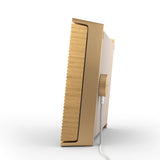 Bang & Olufsen Beosound Level Gold