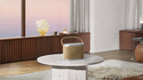 Bang & Olufsen BeoSound A5 2.1 portable speaker system Brown
