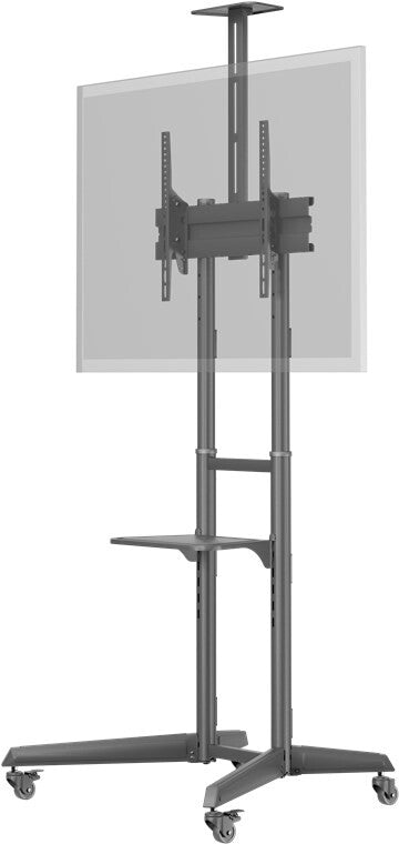 Goobay TV Presentation Stand Pro (Size L)
