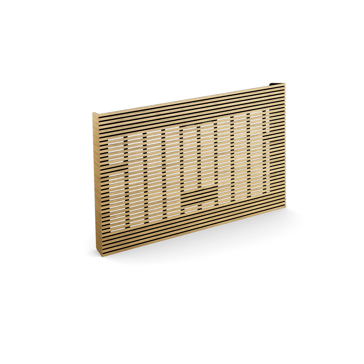 Bang & Olufsen 1452100 portable speaker part/accessory