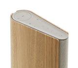 Bang & Olufsen Beosound Emerge Brown Wired & Wireless