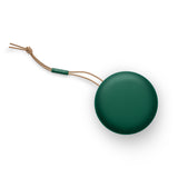 Bang & Olufsen Beosound A1 2nd Gen Green