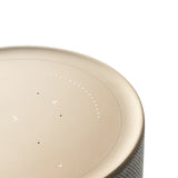 Bang & Olufsen Beosound Balance Brown, Wood Wired & Wireless
