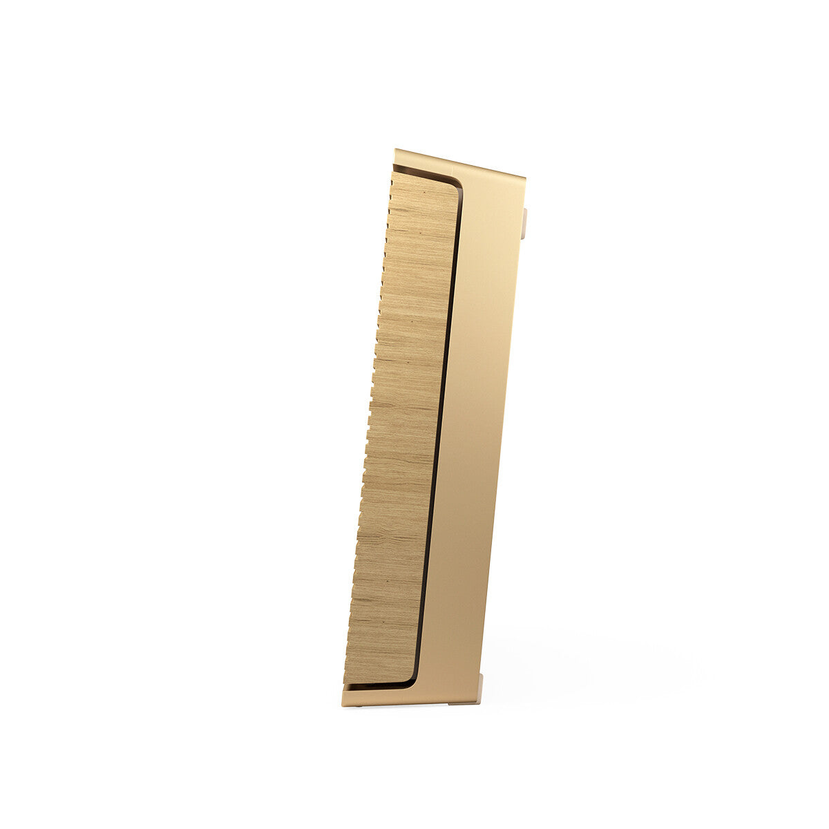 Bang & Olufsen Beosound Level Gold